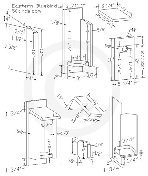 Eastern Bluebird Nest Box Plans - 70birds Birdhouse Plans Index