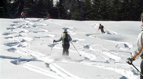 Off Piste Skiing for Beginners - How to Get Started With Powder Skiing - SkiingLab