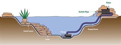 12 Steps to Build a Small Pond - AGCO FarmLife