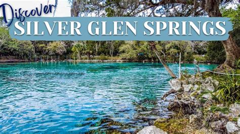 Silver Glen Springs: A Hidden Gem in Ocala National Forest! - YouTube