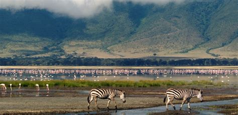 3 Days Ngorongoro Crater Tour | Tanzania Wildlife Safaris