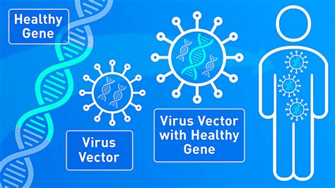 How Gene Therapy Can Cure or Treat Diseases | FDA