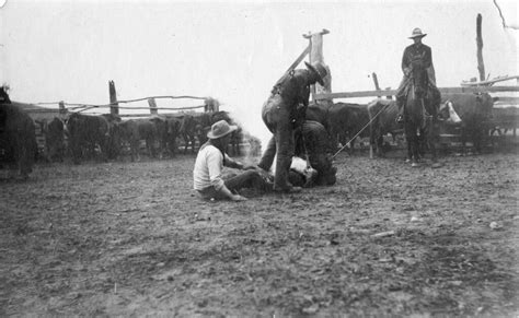 Cattle branding | Cattle branding, Harvey Russell on ground,… | Flickr