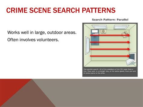 PPT - Crime Scene Documentation PowerPoint Presentation - ID:6114335