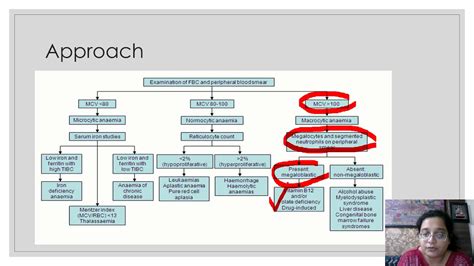 Megaloblastic anemia pitfalls and troubleshoots - YouTube