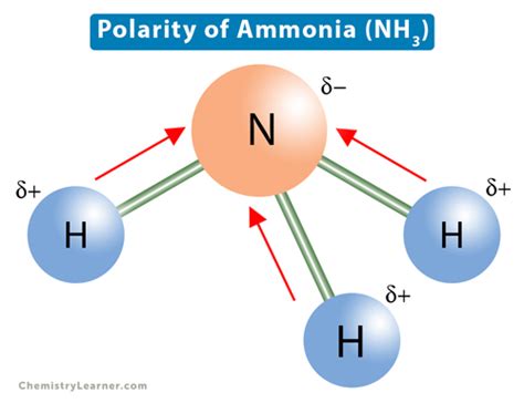 Polarity of Ammonia (NH3) - Chemistry Learner