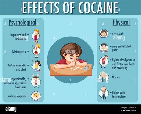 Effects of cocaine information infographic illustration Stock Vector Image & Art - Alamy