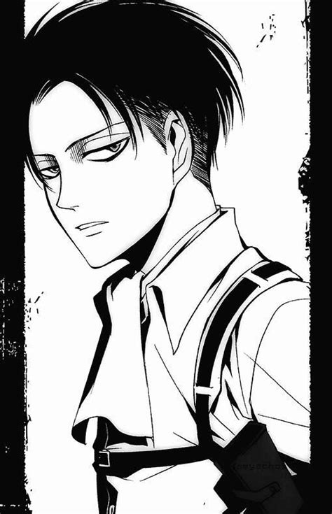 Levi Ackerman Height Manga / Do you like this video? - luzamorefe