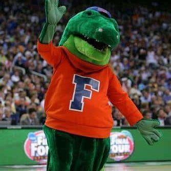 Albert the Gator | Mascot Hall of Fame