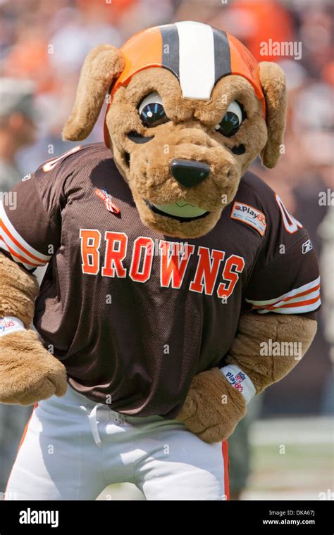 Sept. 11, 2011 - Cleveland, Ohio, U.S - Cleveland Browns mascot Stock ...