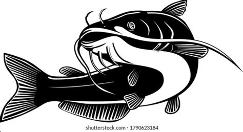 Catfish art Royalty Free Stock SVG Vector