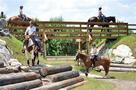 Hope Springs - Obstacle Course | Hope Rides - Youth Horse Program In Minnesota