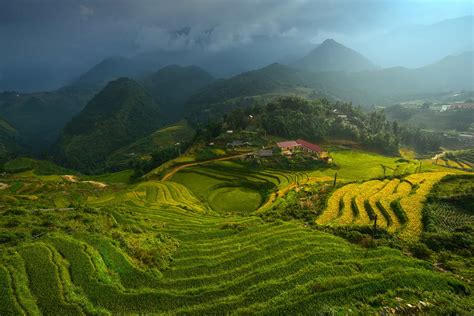 Mu Cang Chai Rice Terraces in Vietnam - Placeaholic