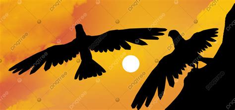 Hawk Fly Sunset Silhouette Illustration Background, Hawk, Fly, Sunset ...