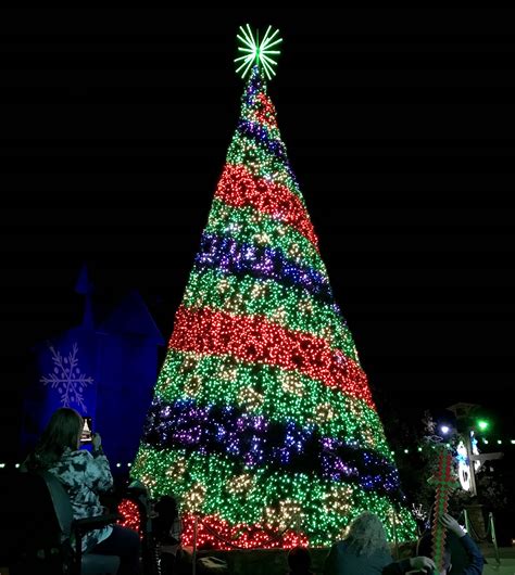 Dollywood Christmas 2024 - Dalia Estrella