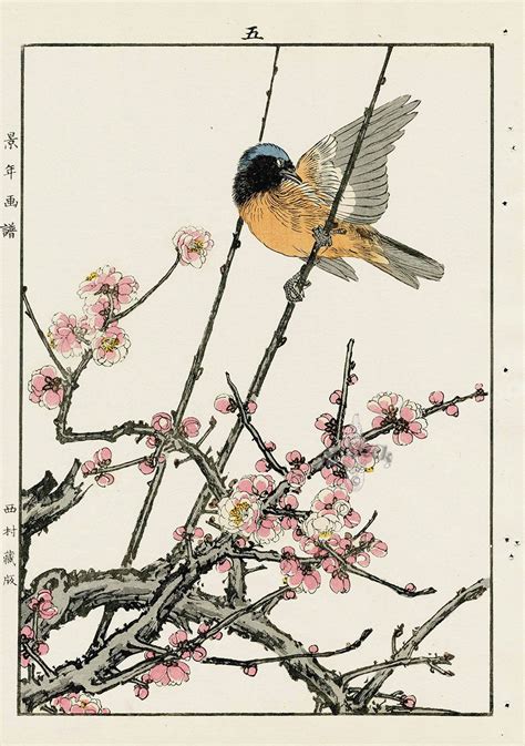 Cherry from Imao Keinen Kacho original Japanese woodblock prints of birds and flowers | Japanese ...