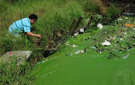 Wow Water Pollution in Lake Taihu China is Horrible | Pollution Image Info