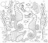 Free SEAHORSE Coloring Pages For Download Printable PDF sketch template
