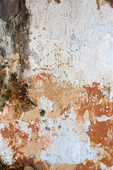 Peeled Paint On Wall Free Stock Photo - Public Domain Pictures