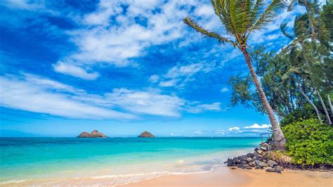 Affordable Family Resorts in Hawaii