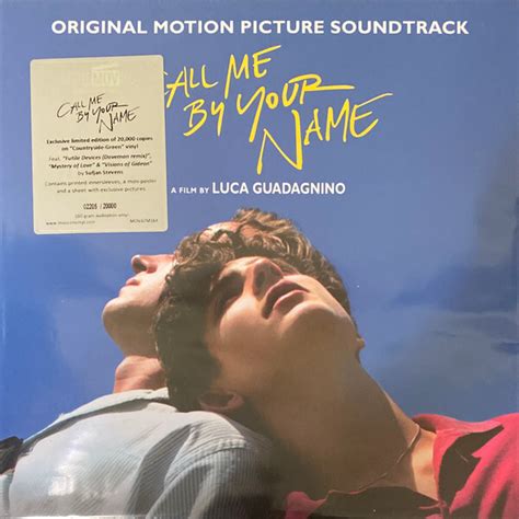 Various Call Me By Your Name (Original Motion Picture Soundtrack) Vinyl 2 LP - Discrepancy Records