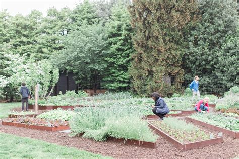 White House Kitchen Garden