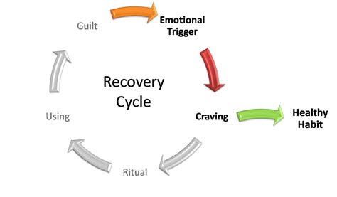 Recovery-Cycle – MOBIEG