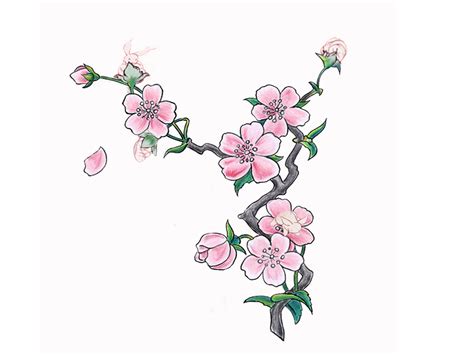 Simple Cherry Blossom Drawing at GetDrawings | Free download