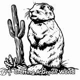 Prairie Dog Coloring Pages  Free & Printable sketch template