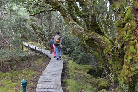 8 great bushwalking destinations in Australia