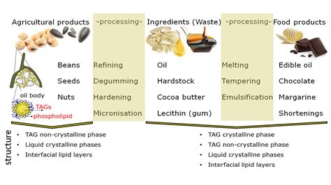 Multiscale Assessment of Food Lipid Structures - WUR