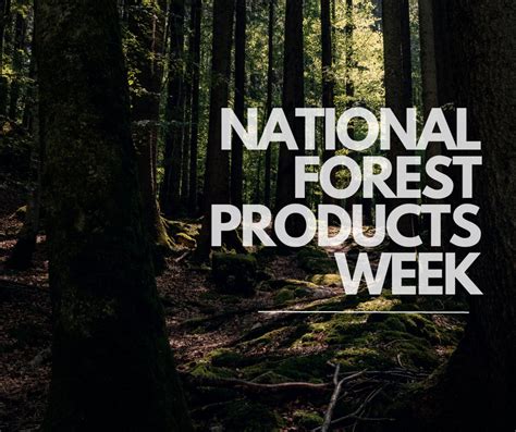 National Forest Products Week - Trio Forest Product Inc.