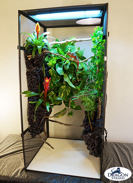 Advanced Chameleon Cage Setup | Chameleon cage, Chameleon terrarium, Chameleon enclosure