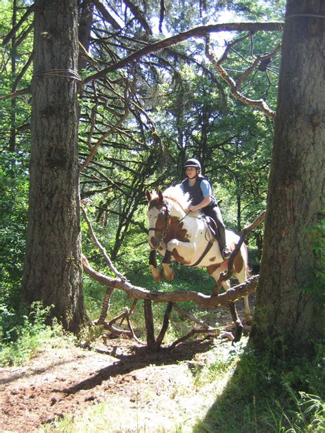 Pin by Miss Megs on Horse Training with Natural Horsemanship | Cross country jumps, Horse ...