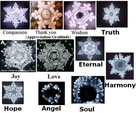 Dr. Masaru Emoto - the effect of words on water crystals ... | Masaru emoto, Water experiments ...