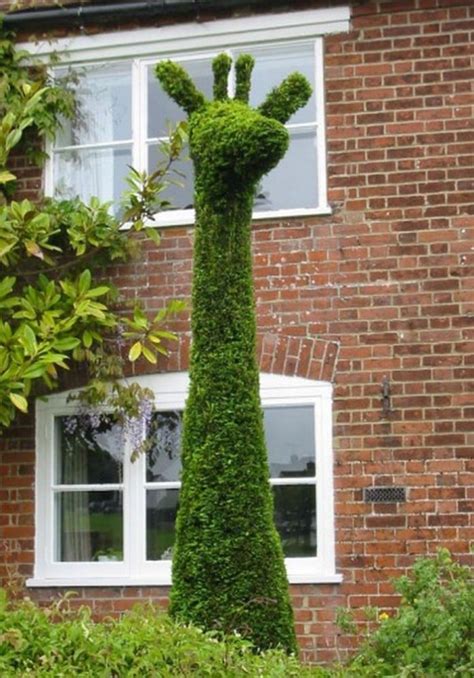 Topiary Design in Fun Animal Shapes