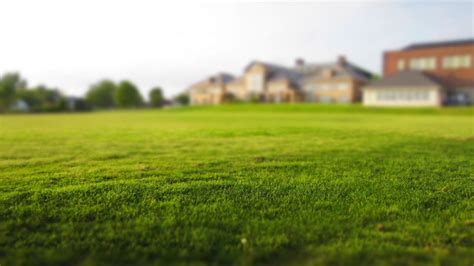 Outdoors: What are the pros and cons of artificial grass ...