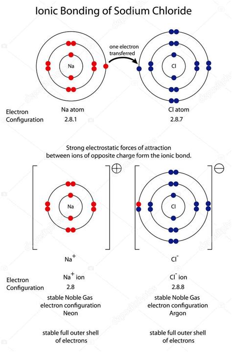 Diagram to show ionic bonding in sodium chloride — Stock Vector © doethion #195723802