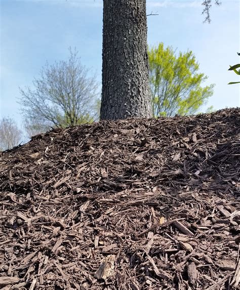 Mulching & Finding the Right Mulch for the Right Place