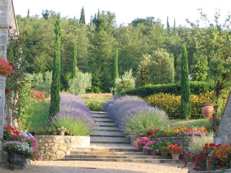 Creating a Tuscan Style Garden | Carpenters Nursery