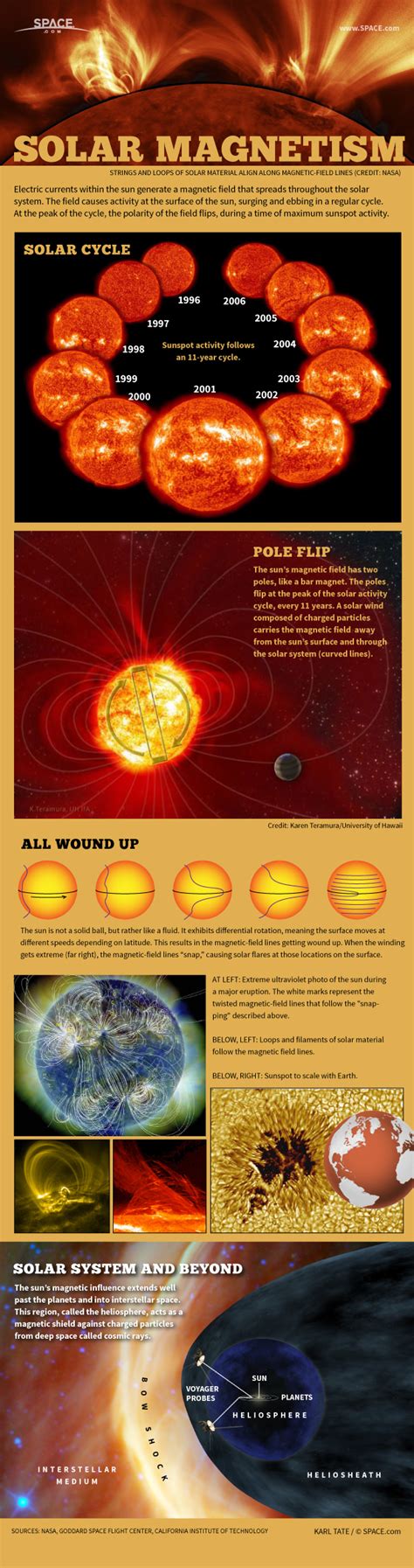 How the Sun's Magnetic Field Works (Infographic) | Space