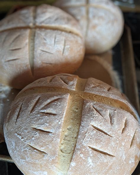 Paul Hollywood's Crusty Cob Loaf : r/VeganBaking