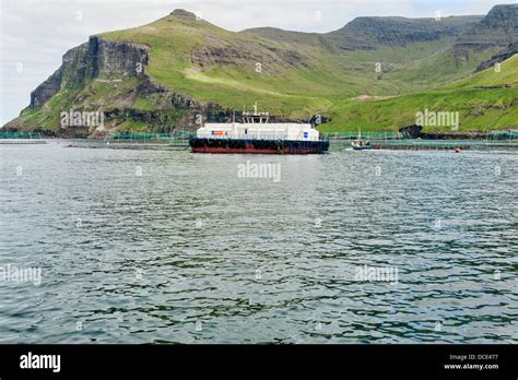 Salmon farming in the Faroe Islands Stock Photo - Alamy