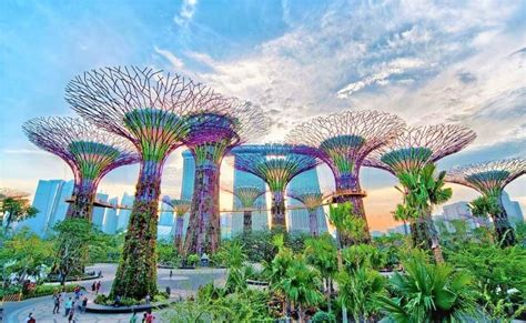 What is Biomimetic Architecture and why young Architects should know about it - RTF | Rethinking ...