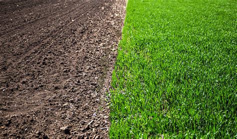 Soil vs. Dirt: What's the Difference - Adelaide Land Scape Supplies