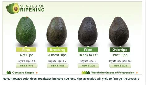 Stages of ripening avocados | Avocado, Avocado recipes, Food facts