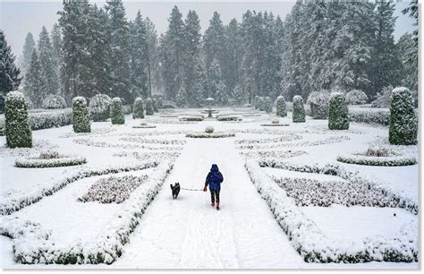 Record snowfall in Washington state -- Earth Changes -- Sott.net