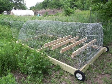 Curious Naturalist: The Chicken Tractor