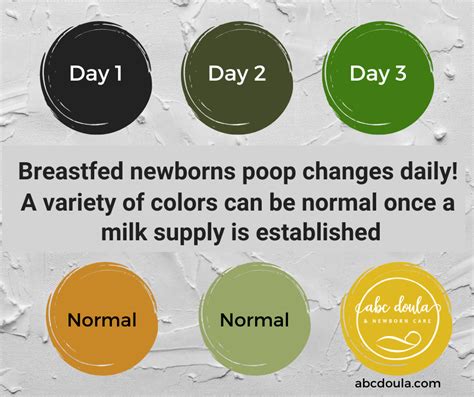 Breastfeeding Baby's Poop...a colorful palette! — ABC Doula & Newborn ...