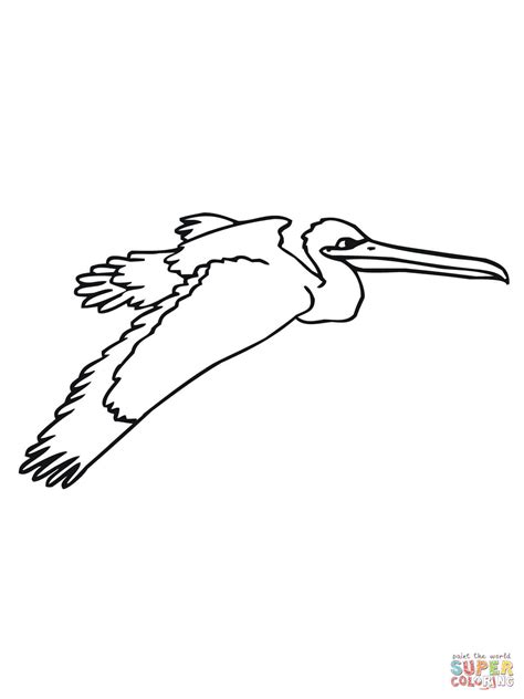 Flying Pelican coloring page | Free Printable Coloring Pages